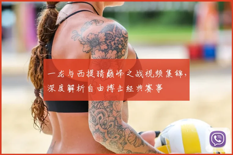 一龙与西提猜巅峰之战视频集锦，深度解析自由搏击经典赛事