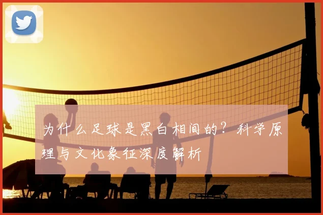 为什么足球是黑白相间的?科学原理与文化象征深度解析