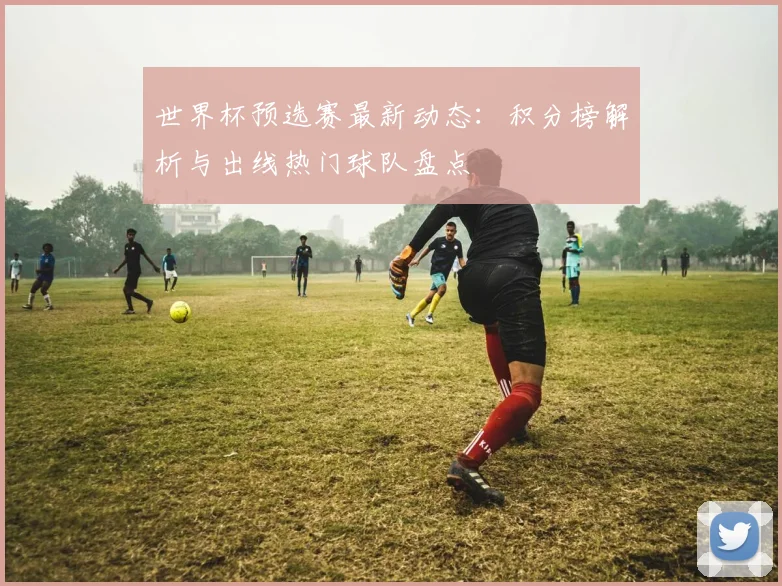 世界杯预选赛最新动态：积分榜解析与出线热门球队盘点