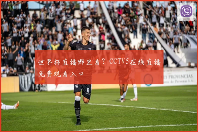 世界杯直播哪里看？CCTV5在线直播免费观看入口