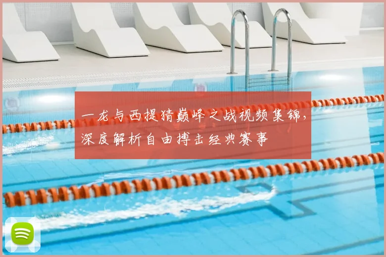 一龙与西提猜巅峰之战视频集锦，深度解析自由搏击经典赛事
