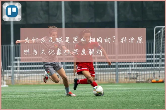 为什么足球是黑白相间的？科学原理与文化象征深度解析